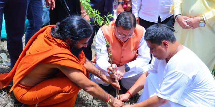 हरेला पर्व पर मालाग्राम पहुंचे मुख्यमंत्री, सघन पौधरोपण कर दिया हरित संरक्षण का संदेश