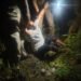 पश्चिमी उत्तर प्रदेश का शातिर गैंगस्टर पुलिस मुठभेड़ में हुआ घायल
