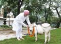 श्री गुरु राम राय विश्वविद्यालय में पहुंचीदुनिया की सबसे छोटी नस्ल की नैनो गाय
