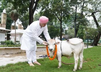 श्री गुरु राम राय विश्वविद्यालय में पहुंचीदुनिया की सबसे छोटी नस्ल की नैनो गाय