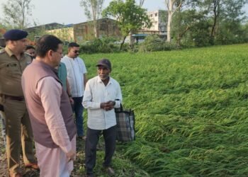 बाजपुर में हुई भीषण ओलावृष्टि, सूचना मिलते ही प्रभावित किसानों के बीच पहुंचे मुख्यमंत्री धामी